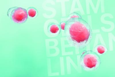 Illustration: Stamceller med text Stamcellsbehandling bakom